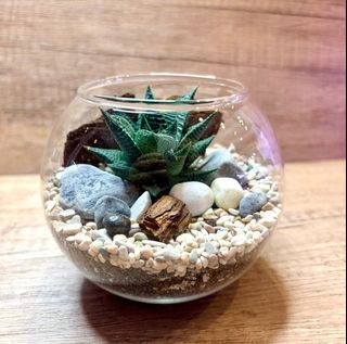 (Category: ) located in . Submitted by lushglassdoor (Listing ID 1459165575, Image 1). Description: .