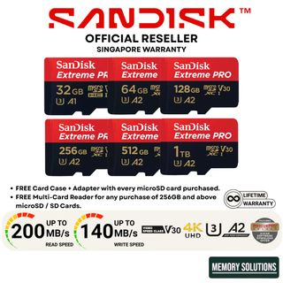 Sandisk Products Collection item 2