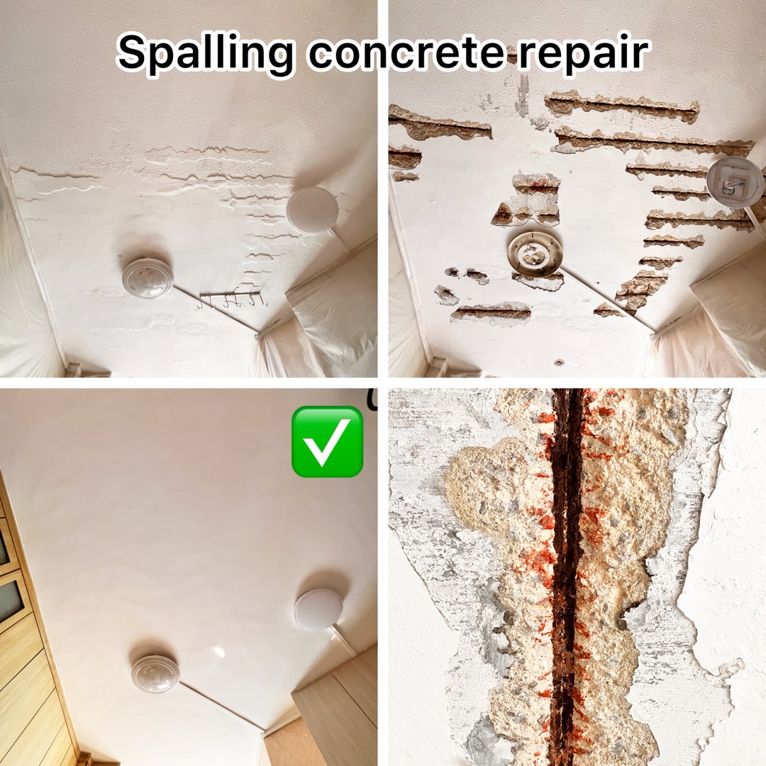 (Category: ) located in . Submitted by good_solution (Listing ID 1459099816, Image 1). Description: .