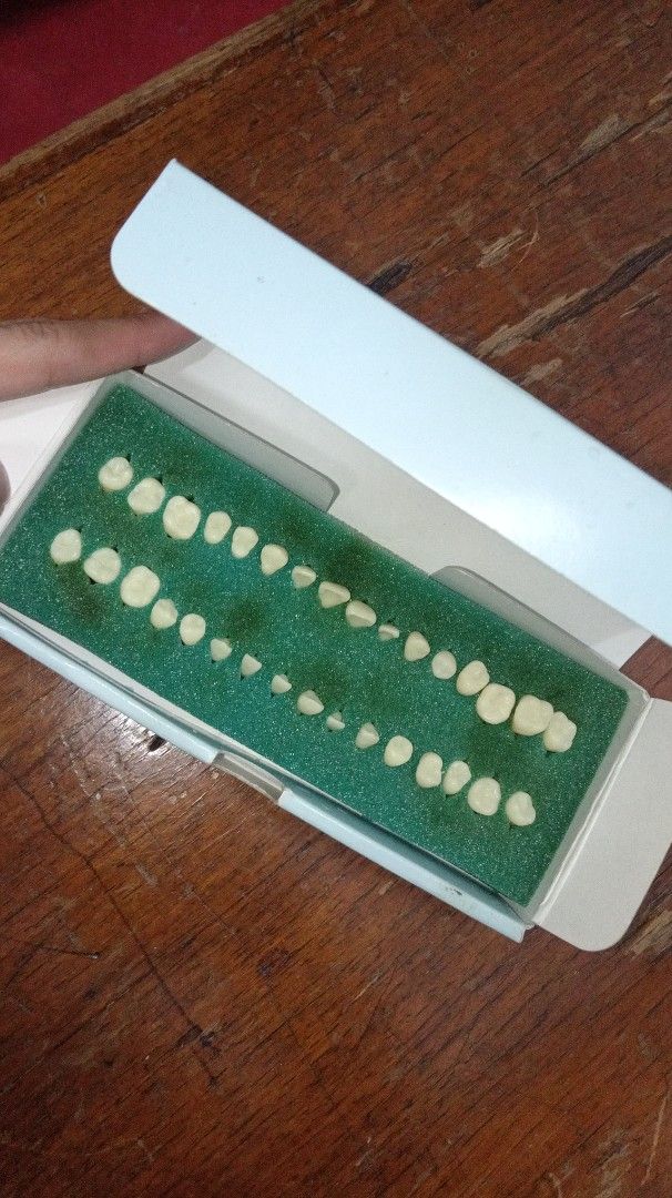 Trimunt Dental Study Model (Category: Medical Supplies & Tools) located in Quezon City. Submitted by Neen0 (Listing ID 1459222563, Image 2). Description: - Dental study model (SIM-ANA-01) - Anatomical, rooted, two-colored teeth - 28 pieces per set - Made in Japan - Perfect for dental education and training - Great for dental students and professionals.