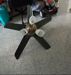 (Category: ) located in . Submitted by vylenerose (Listing ID 1459232655, Image 1). Description: .