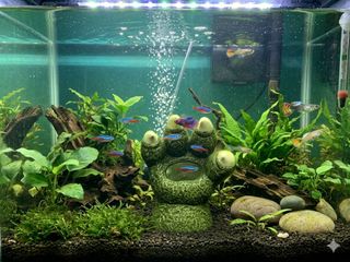 (Category: ) located in . Submitted by bigsamsam (Listing ID 1459091414, Image 1). Description: .