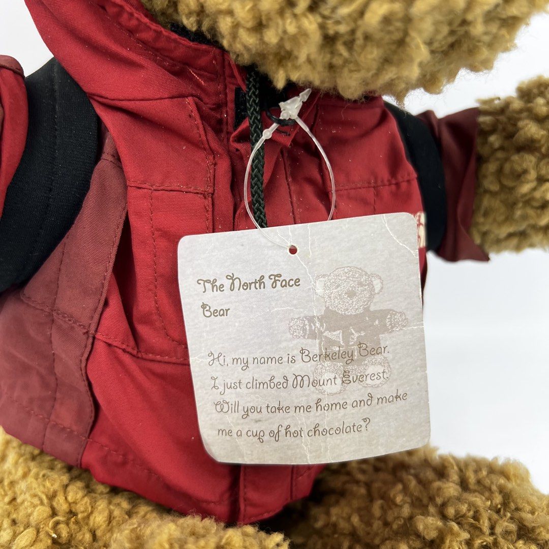 Vintage The North Face Plush Toy (Category: Plushies & Soft Toys) located in Baguio. Submitted by rafsemenz (Listing ID 1459174335, Image 3). Description: All detailed pics are posted What you see is what you get Size: 11 inches.