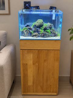 (Category: ) located in . Submitted by privatecollectors (Listing ID 1463077801, Image 1). Description: .