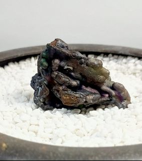 （分類：）位於 。 由 yanyancyy 提交（商品編號 1463004504，圖片 1）。簡介： 。