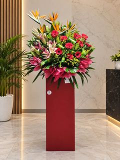 Congratulatory Stands Collection  收藏品 2