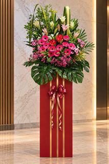 (Category: ) located in . Submitted by flowerplusco (Listing ID 1463061418, Image 1). Description: .