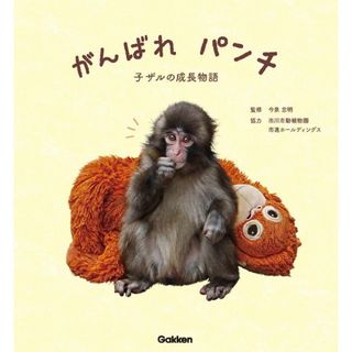 （分類：）位於 。 由 ruka_256 提交（商品編號 1463068815，圖片 1）。簡介： 。