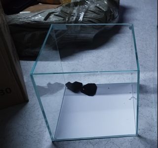 (Category: ) located in . Submitted by jikimnim6 (Listing ID 1463000376, Image 1). Description: .