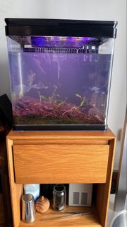 (Category: ) located in . Submitted by im_sky (Listing ID 1462970592, Image 1). Description: .