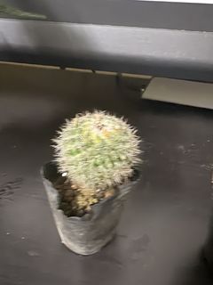 （分類：）位於 。 由 aathirax 提交（商品編號 1463058687，圖片 1）。簡介： 。
