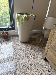 (Category: ) located in . Submitted by fiercemoon-45ba (Listing ID 1462969137, Image 1). Description: .