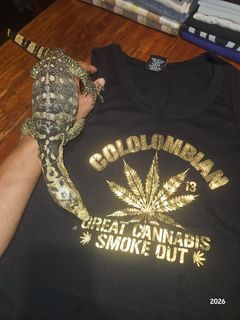 (Category: ) located in . Submitted by edisontv (Listing ID 1463063906, Image 1). Description: .