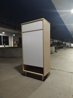 Shoe Cabinet  收藏品 2