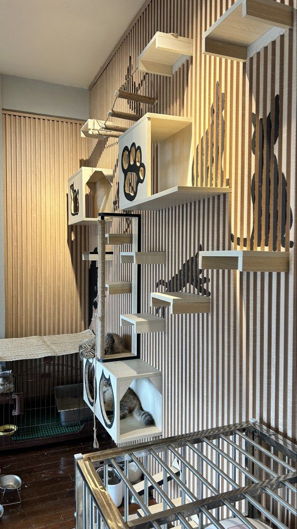 😻Cat Wall shelf’s “Custom made” ✅ Free Installation within DVO (Category: Homes & Other Pet Accessories) located in Davao. Submitted by casadekuting (Listing ID 1463016620, Image 2). Description: Depends on what package different prices and products. Let me know if interested. We ship nationwide po..