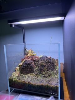 (Category: ) located in . Submitted by yinventory (Listing ID 1462994928, Image 1). Description: .