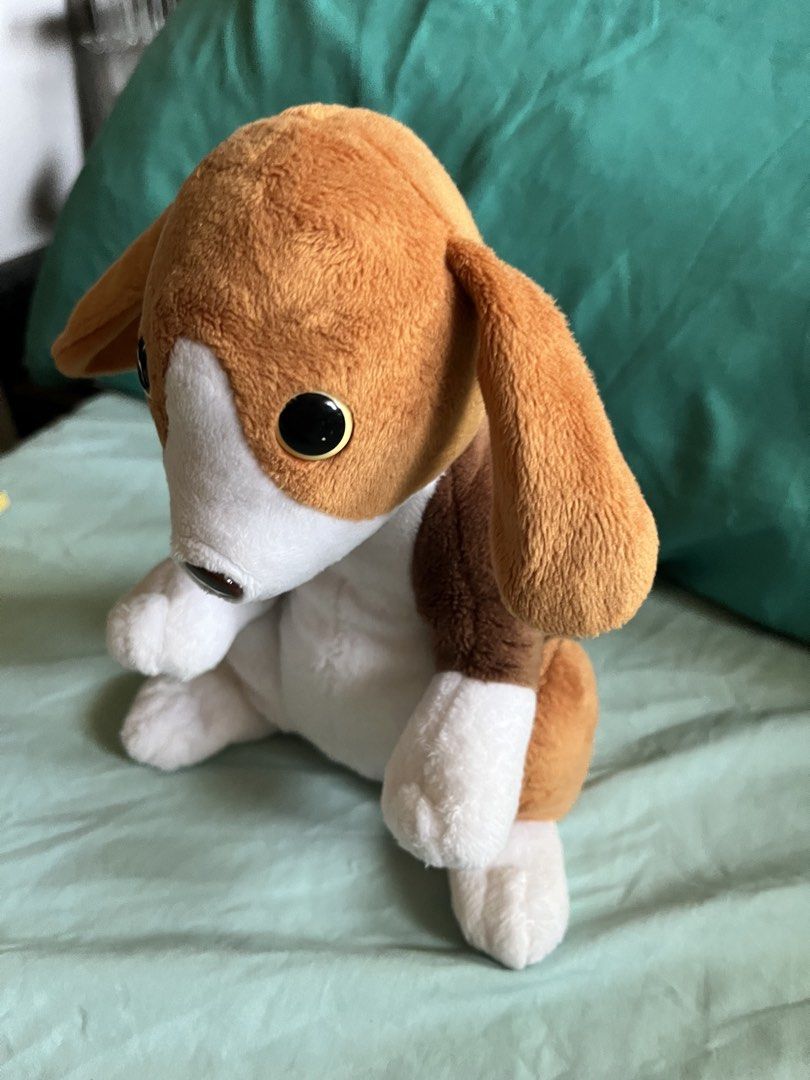 Dog plush (#d15) (Category: Plushies & Soft Toys) located in Paranaque City. Submitted by bonsaiart (Listing ID 1462913519, Image 3). Description: Pre owned Good condition With beads butt part 300( fixed)+ sf Payment first policy (gcash/ paymaya) Shipping ONLY (J&t) NO TO COD NO TO MEETUP NO TO COP (LBC) No breaking of set or bundle.