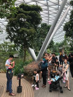 (Category: ) located in . Submitted by bryanboy93 (Listing ID 1463056662, Image 1). Description: .