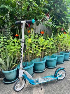 (Category: ) located in . Submitted by fiercehorse-60ca (Listing ID 1463014641, Image 1). Description: .