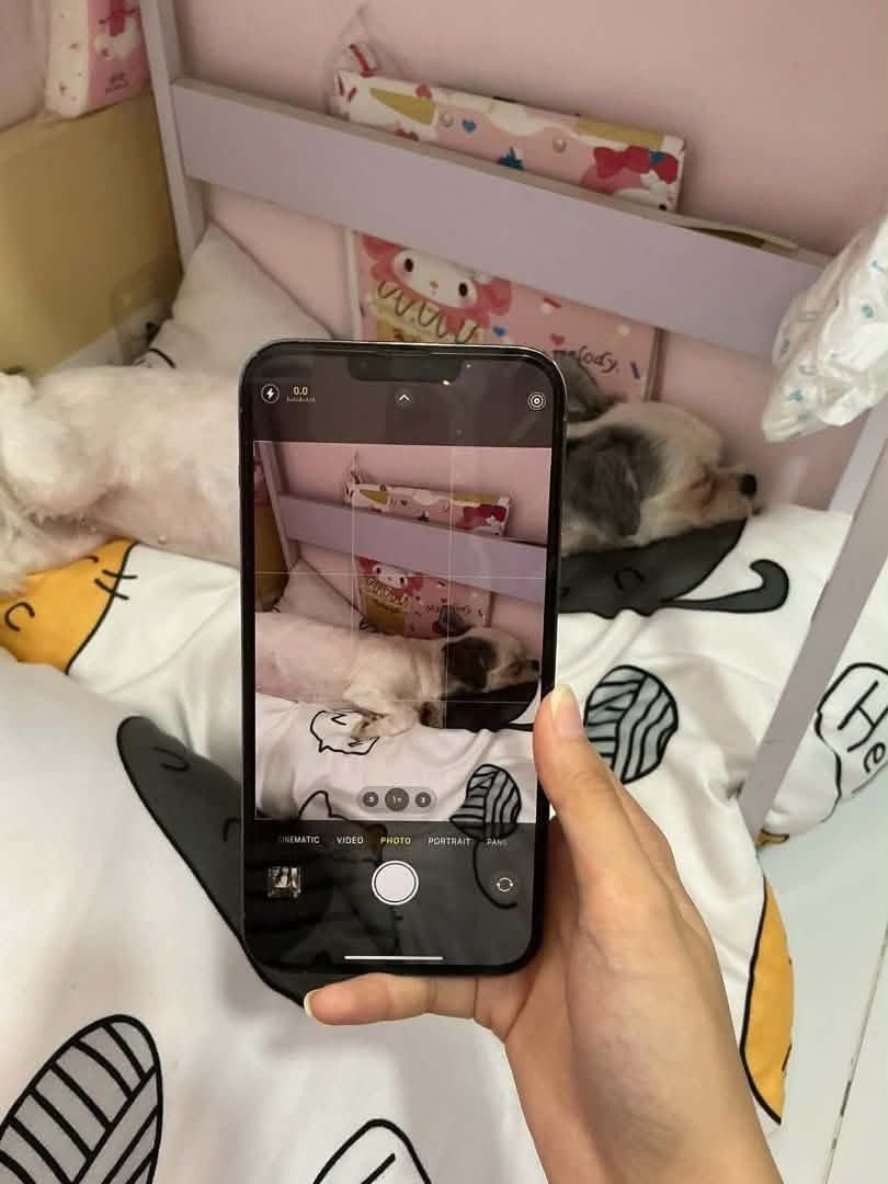 iPhone 13 Pro Max 512gb (Category: iPhone 13 Series) located in Quezon City. Submitted by kbcc_ (Listing ID 1462934176, Image 3). Description: no issue openline sierra blue color qc loc.