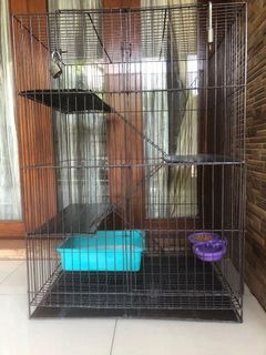 (Kategori: ) berada di . Dikirim oleh ichapreloved65 (ID iklan 1462965280, Gambar 1). Deskripsi: .