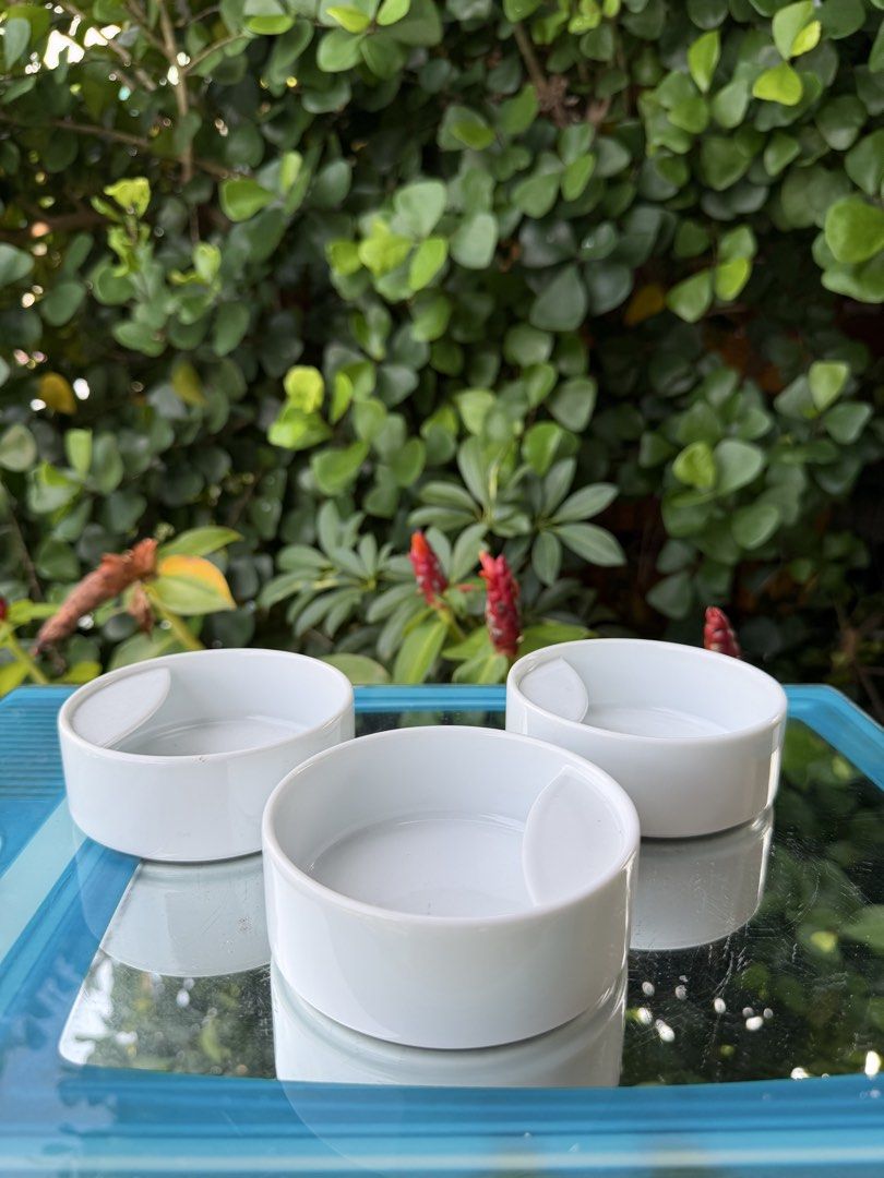 Ladle rest (Category: Dinnerware & Cutlery) located in Davao. Submitted by parteawares2 (Listing ID 1462902863, Image 2). Description: Three pieces ladle rest while enjoying your dishes you need a serving spoon rest .