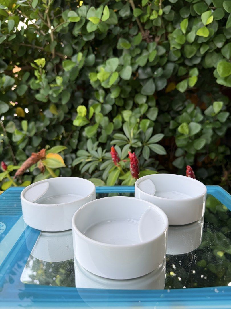 Ladle rest (Category: Dinnerware & Cutlery) located in Davao. Submitted by parteawares2 (Listing ID 1462902863, Image 1). Description: Three pieces ladle rest while enjoying your dishes you need a serving spoon rest .
