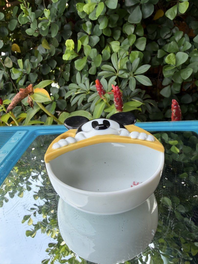 Ladle rest Mickey Mouse (Category: Dinnerware & Cutlery) located in Davao. Submitted by parteawares2 (Listing ID 1462899225, Image 3). Description: One piece Mickey Mouse Disney made in Japan ladle rest , while cooking or serving dishes place your serving spoon here .
