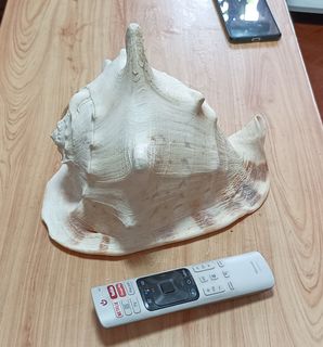 （分類：）位於 。 由 0.pan 提交（商品編號 1462940349，圖片 1）。簡介： 。