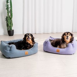 （分類：）位於 。 由 chaseeeeeeee 提交（商品編號 1462991859，圖片 1）。簡介： 。