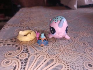 (Category: ) located in . Submitted by fluttershysshop (Listing ID 1462897555, Image 1). Description: .