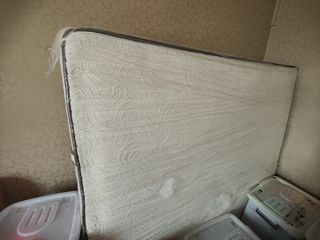 (Category: ) located in . Submitted by snowlyly87597 (Listing ID 1462935255, Image 1). Description: .