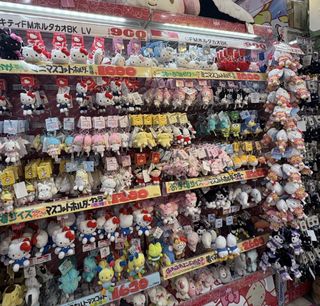 （分類：）位於 。 由 floral.shop2026 提交（商品編號 1463044469，圖片 1）。簡介： 。