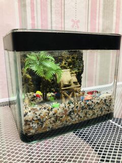 (Category: ) located in . Submitted by sky_storezz (Listing ID 1463038781, Image 1). Description: .