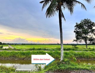 (Category: ) located in . Submitted by mudah1573119 (Listing ID 1462228597, Image 1). Description: .