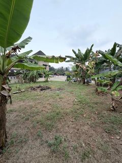 (Category: ) located in . Submitted by mudah432574 (Listing ID 1462426886, Image 1). Description: .