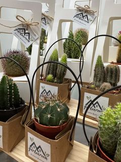 (Category: ) located in . Submitted by gardenroom.btu_ (Listing ID 1463084315, Image 1). Description: .