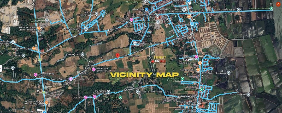 10K SQM LAND AT BATAAN (Category: Lot) located in Manila. Submitted by larasor.property (Listing ID 1463194355, Image 3). Description: [FOR SALE] 1-Hectare Premium Lot in Abucay, Bataan Looking for a highly strategic, inflation-proof land investment? This 10,000 SQM prime lot near L. Dela Fuente Street is perfect for a family rest house, a private resort business, or commercial farming. • 📍 Location: L. Dela Fuente Street, Abucay, Bataan, Philip