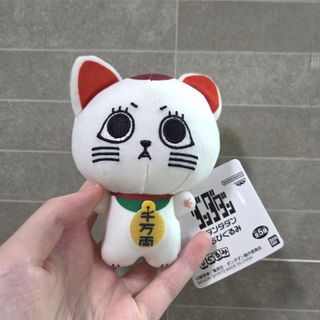 （分類：）位於 。 由 aaeesell 提交（商品編號 1463066801，圖片 1）。簡介： 。
