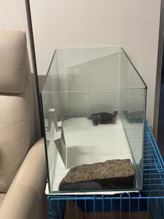 （分類：）位於 。 由 ahman314 提交（商品編號 1463279221，圖片 1）。簡介： 。