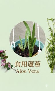 （分類：）位於 。 由 vincentma441 提交（商品編號 1463170404，圖片 1）。簡介： 。