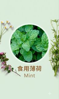 （分類：）位於 。 由 vincentma441 提交（商品編號 1463171058，圖片 1）。簡介： 。
