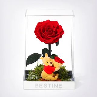 （分類：）位於 。 由 pmmixmarkettttt 提交（商品編號 1463123603，圖片 1）。簡介： 。