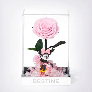 （分類：）位於 。 由 pmmixmarkettttt 提交（商品編號 1463124239，圖片 1）。簡介： 。