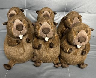 （分類：）位於 。 由 petspets0018 提交（商品編號 1463272445，圖片 1）。簡介： 。