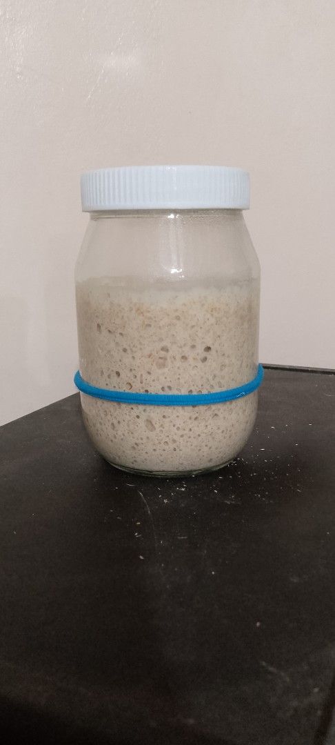 Active Sourdough Starter- Well Established (Category: Other Food & Drinks) located in Manila. Submitted by 69louwrigh76915 (Listing ID 1463273092, Image 1). Description: I brought sourdough starter here in the Philippines from my grandmother's kitchen in Germany. She claims that it is over 60 years old. I don't know for sure but my grandmother made the best sourdough I have ever tasted! I am selling 100 grams for P500 each. I can ship anywhere in