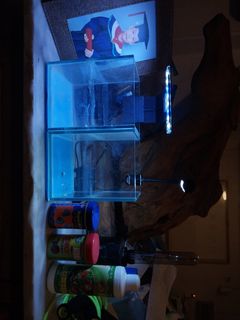 (Category: ) located in . Submitted by letscreate (Listing ID 1463276159, Image 1). Description: .