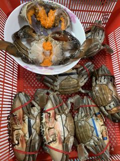 (Category: ) located in . Submitted by Crabhuntersg (Listing ID 1463276286, Image 1). Description: .