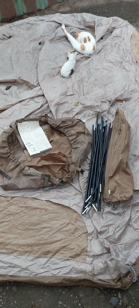 Camping Tent with Poles and Bag (Category: Hiking & Camping) located in Valenzuela. Submitted by newbear.425b6e (Listing ID 1463272481, Image 3). Description: - Tan camping tent - Includes poles and carrying bag - Mesh inner layer for ventilation - Some dust/dirt from storage - Perfect for your next outdoor adventure.