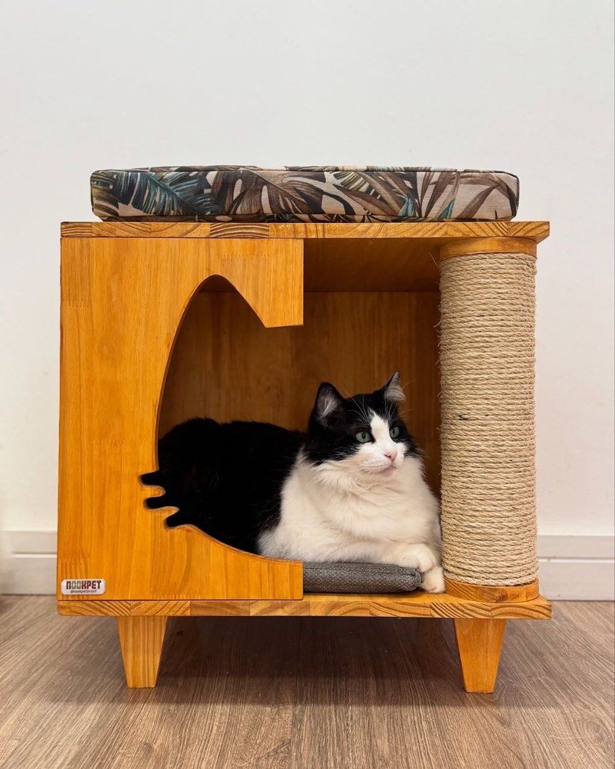 Cat bed house “made to order” (Category: Homes & Other Pet Accessories) located in Davao. Submitted by casadekuting (Listing ID 1463241991, Image 1). Description: Free delivery around Davao area.